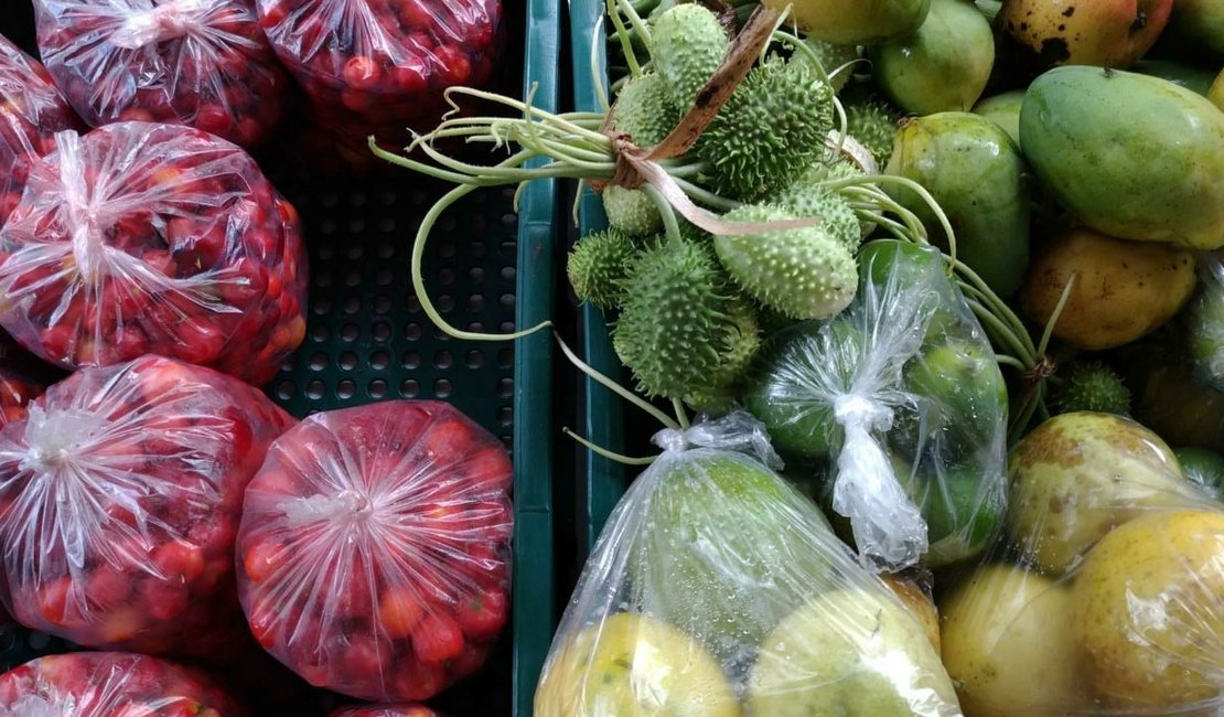 Feira de produtos orgânicos e naturais acontece nesta terça em Jacarecica