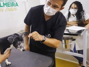 Programa Pet Amigo retoma atividades na próxima semana em Palmeira