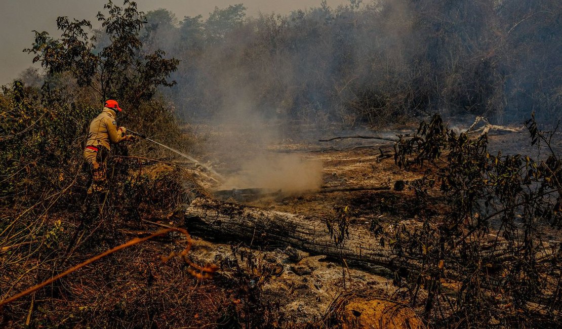 Perícia afirma que incêndio no Pantanal do Mato Grosso foi intencional