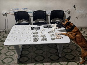 Mulher é presa por armazenar grande quantidade de drogas na zona rural de Arapiraca