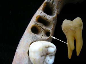 Encontrada primeira evidência de cruzamento entre humanos arcaicos e Homo sapiens na Ásia