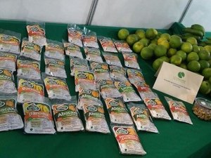 Feira de produtos orgânicos será realizada em Maceió