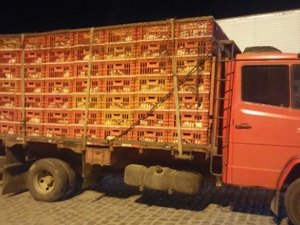 Sefaz autua caminhões carregados com 5.000 frangos