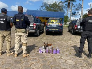 Operação integrada apreende 30kg de maconha no bagageiro de ônibus em São Sebastião