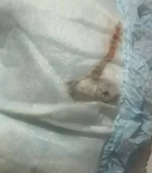 Mãe encontra rato morto dentro da fralda de bebê de um mês no Rio de Janeiro