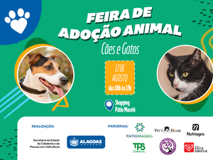 Feira de Adoção de Cães e Gatos é realizada neste sábado