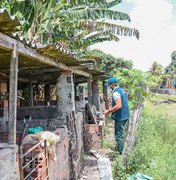 Prefeitura realiza ação zoossanitária em pocilgas irregulares de Maceió