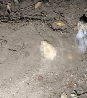 Corpos são encontrados enterrados em região de mata no bairro Santa Amélia