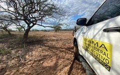FPI constata desmatamento ilegal do bioma caatinga em Mata Grande