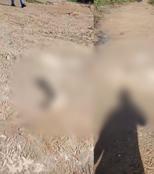 Populares encontram partes de corpo esquartejado em zona rural de São Luís do Quitunde