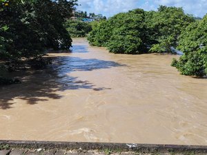 Homem desaparece ao pular em rio de Porto Calvo