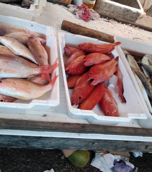 Feira do Peixe aquece comércio de Porto Calvo 