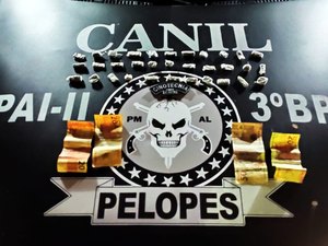 Adolescente de 16 anos é apreendido com drogas em Arapiraca