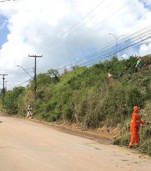 [Vídeo] Após reclamação, Prefeitura realiza trabalho de limpeza em trecho da AL 220, em Arapiraca