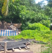 Obra é multada por irregularidades após mortes de peixes-boi no Litoral Norte