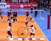 Gambá invade quadra durante semifinal entre Osasco e Barueri pelo Paulista de Vôlei
