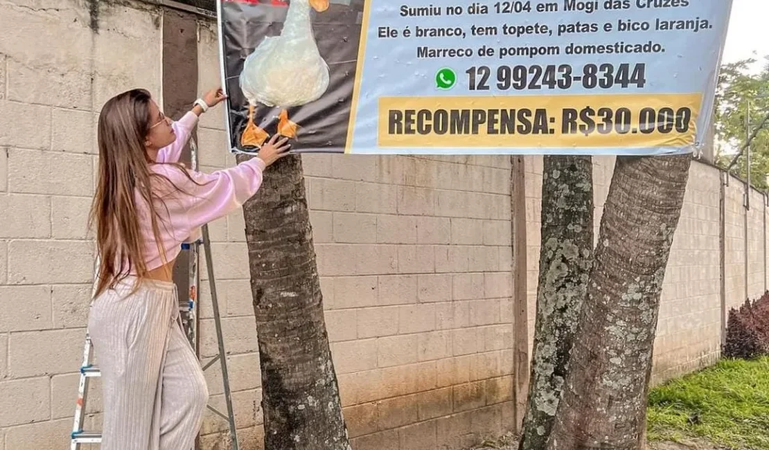Influenciadora oferece recompensa de R$ 30 mil para quem encontrar pato de estimação