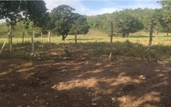  Defensoria pede suspensão de cobrança indevida de IPTU para propriedade rural, em Arapiraca