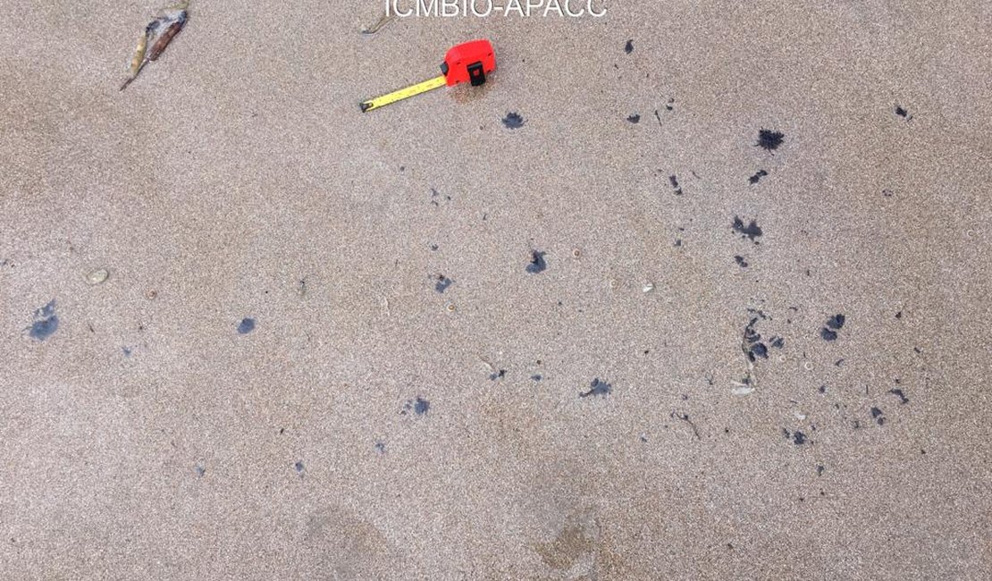 Óleo em praias alagoanas é resquício de vazamento do ano passado