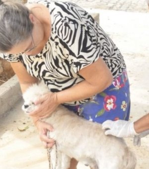 Campanha de Vacinação Antirrábica começa neste sábado (27) em Palmeira