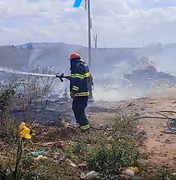 [Vídeo] Incêndio de grandes proporções em vegetação exige trabalho dos bombeiros em Palmeira dos Índios