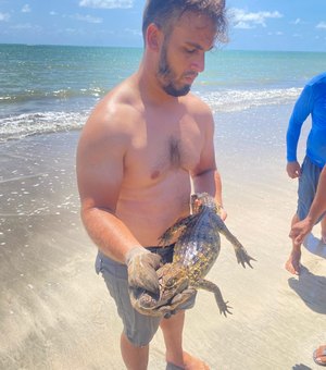 [Vídeo] Jacaré aparece nadando no mar da Praia de Japaratinga