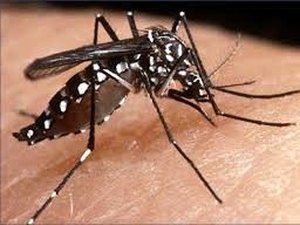 Major Isidoro e Mata Grande estão em situação de epidemia para dengue