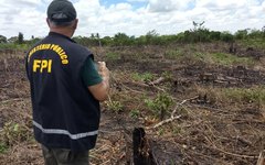 FPI do São Francisco flagra desmatamento de 17 hectares de Mata Atlântica