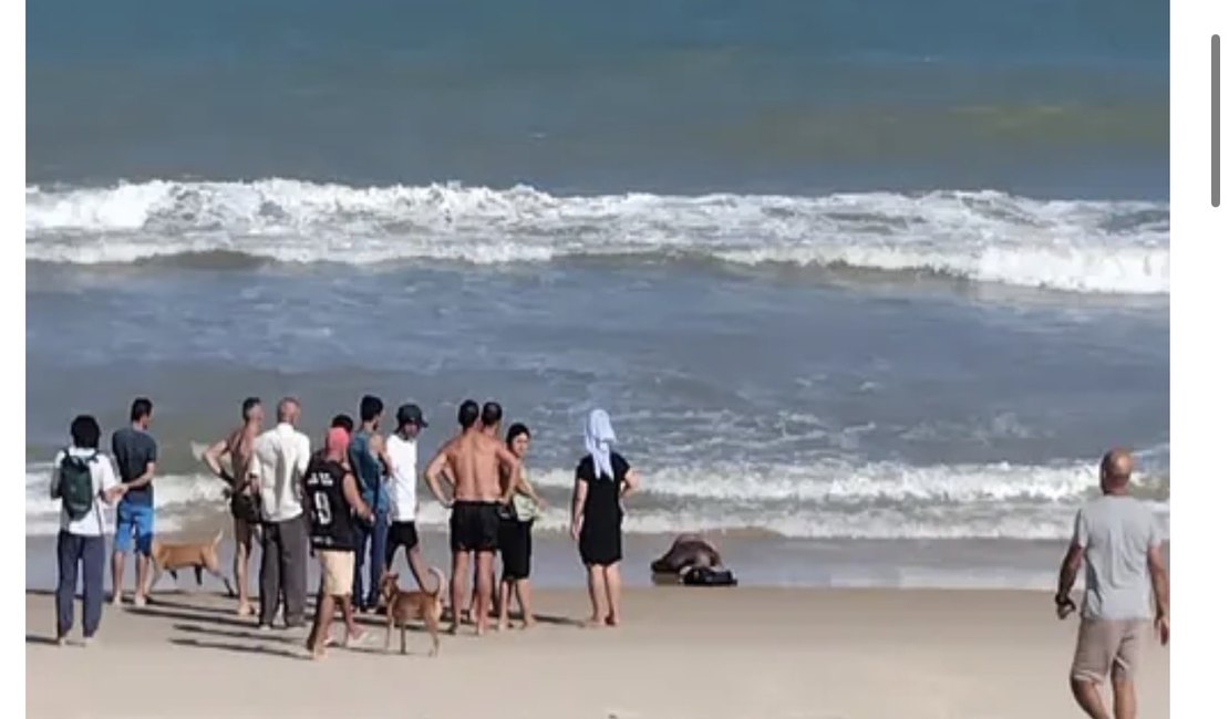 Corpo de homem é encontrado com corda amarrada ao corpo em praia de Alagoas