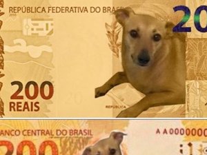 Deputado faz campanha para vira-lata caramelo estampar nota de R$ 200