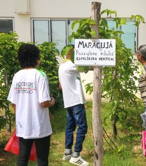 Ifal Maragogi prevê distribuição de mil mudas de plantas até 2022