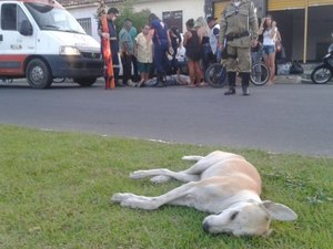 Moto colide em cachorro no centro e condutor tem ferimentos leves