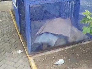Homem em situação de rua é encontrado morto na Ponta Verde