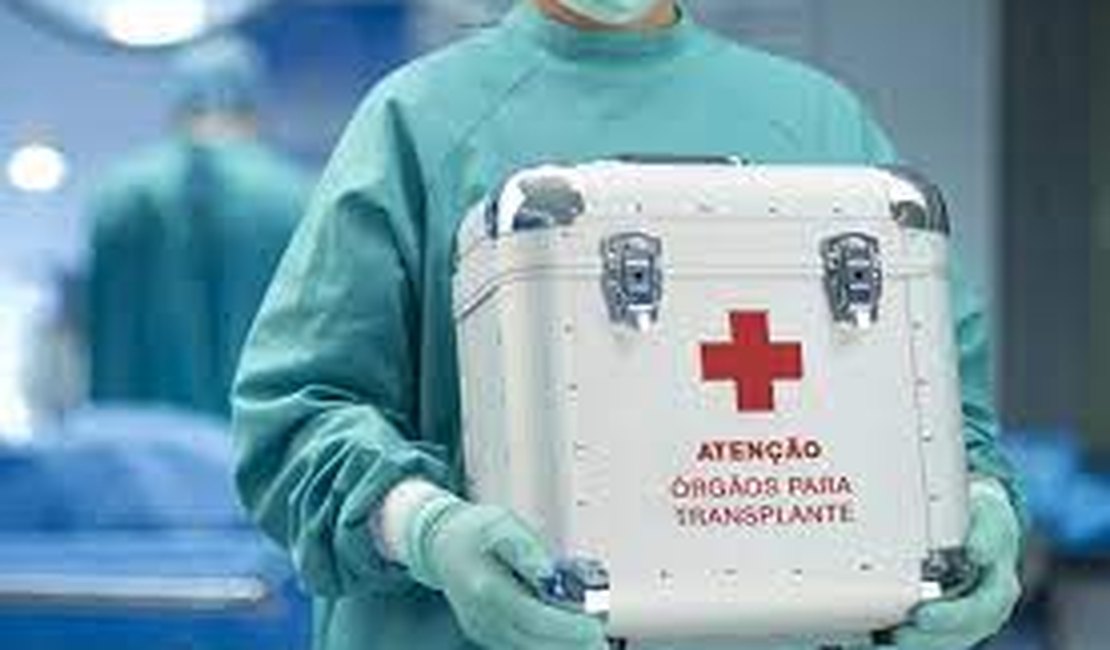 Transplante de órgãos: 88% dos procedimentos são financiados pelo Sistema Único de Saúde (SUS)