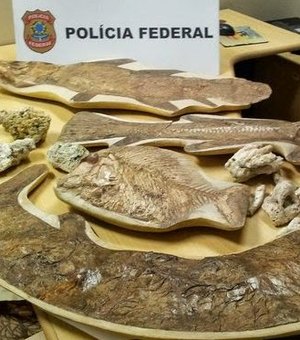 A pedido do MPF, polícia alemã apreende 60 fósseis brasileiros