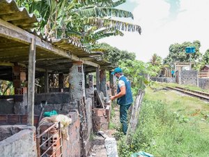 Prefeitura realiza ação zoossanitária em pocilgas irregulares de Maceió