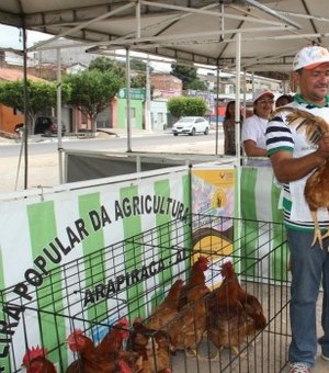 Arapiraca sedia a Feira de Oportunidades Solidárias