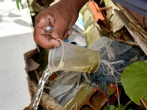 Cerca de 85% das larvas do mosquito da dengue estão dentro de casa