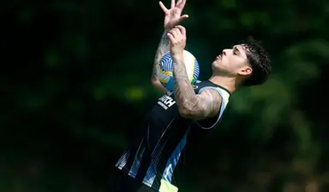 Titular do Botafogo, Lucas Halter mira decisão na Copa do Brasil e manda recado: ‘Precisamos ser inteligentes’