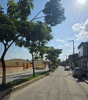Prefeitura de Matriz de Camaragibe inicia poda de árvores na Avenida Manoel dos Santos