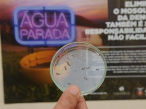 Vacina contra a chikungunya já é testada em humanos