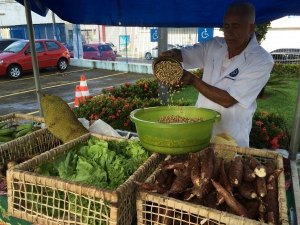 Iteral elabora documento para regulamentar feiras agrárias