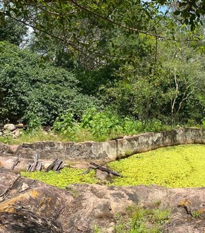 Vai fazer trilha? Ima orienta sobre cuidados necessários durante essa atividade