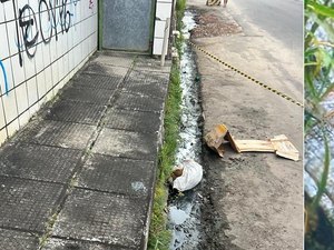 Corpo esquartejado é encontrado dentro de saco plástico no bairro do Jacintinho