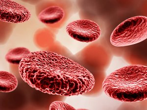 No Dia da Hemofilia, associação alerta para que pacientes não deixem tratamento