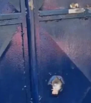 Sinteal repudia ataque a tiros contra escola indígena em Palmeira dos Índios