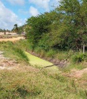 MPF apura movimento de terra em manguezal de Maragogi