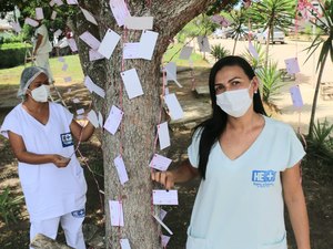 Árvore da Gratidão homenageia mulheres e servidoras do HE do Agreste 
