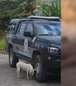 Jovem é assassinado a tiros no ‘Morro da Cocada’ em São Miguel dos Campos