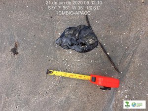 Manchas de óleo reaparecem nas praias de Japaratinga e Coruripe